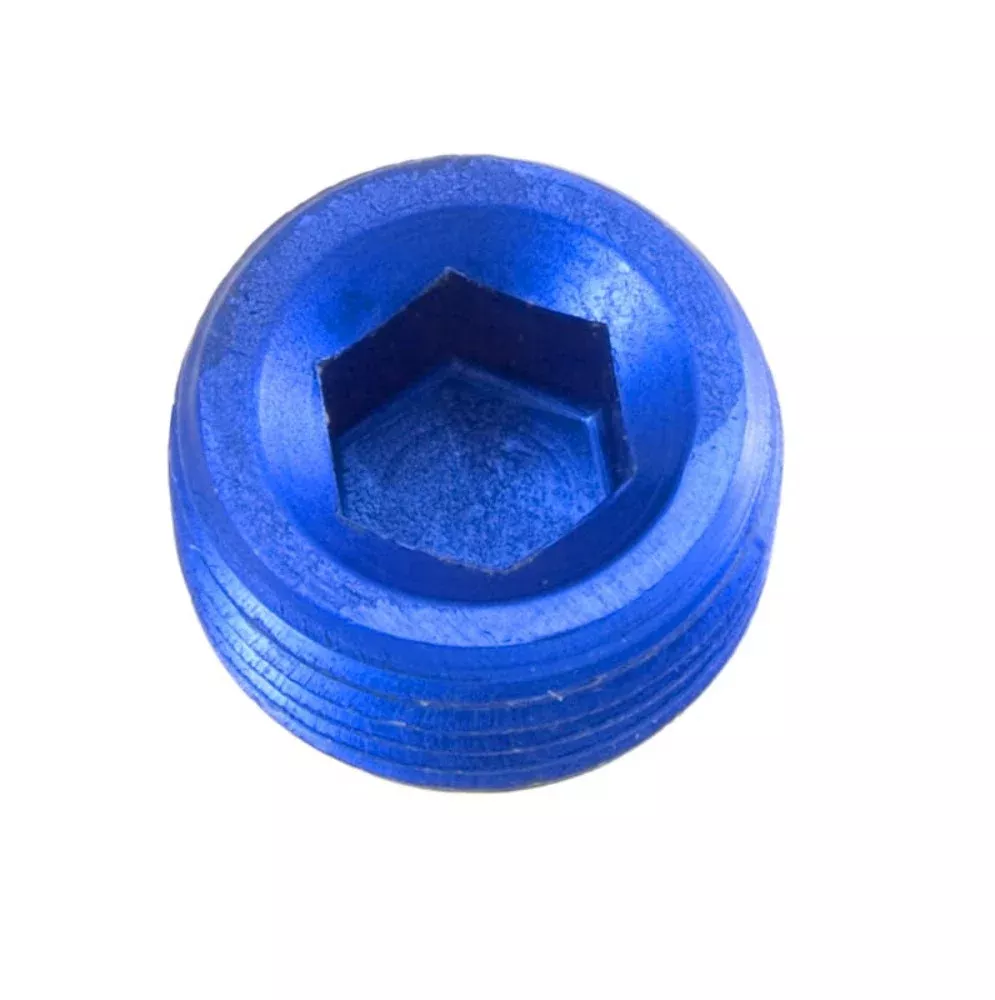 Redhorse Performance 932-12-1 -12 (3/4in) NPT hex head pipe plug - blue